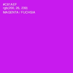 #C81AEF - Magenta / Fuchsia Color Image